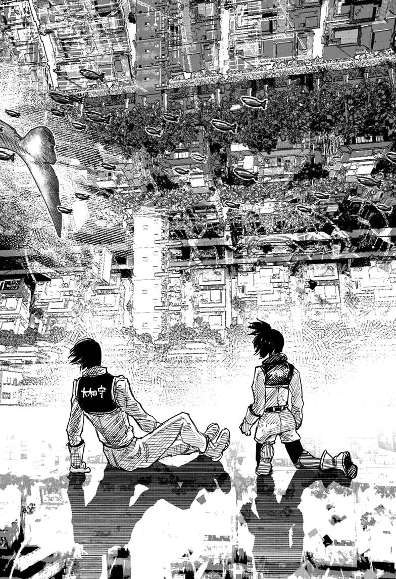 472216images:2