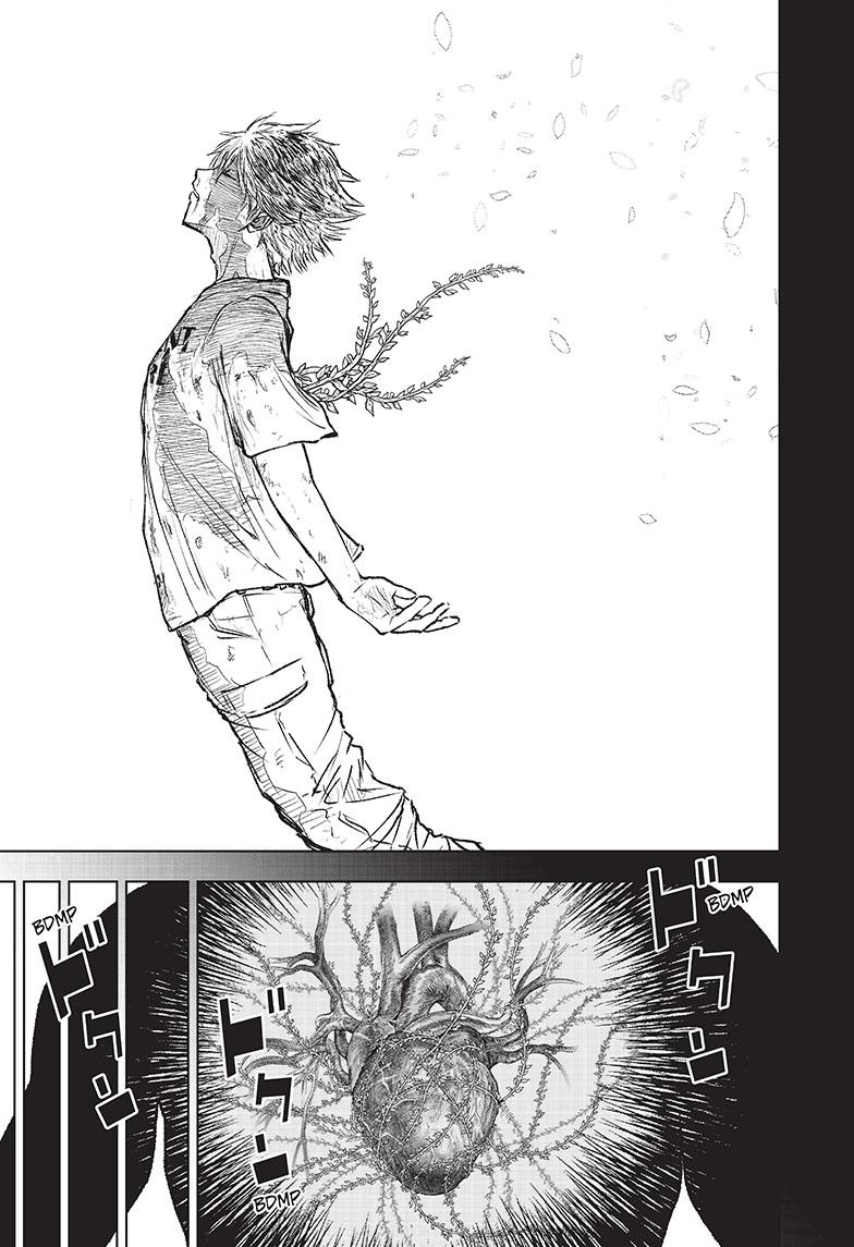 466074images:16