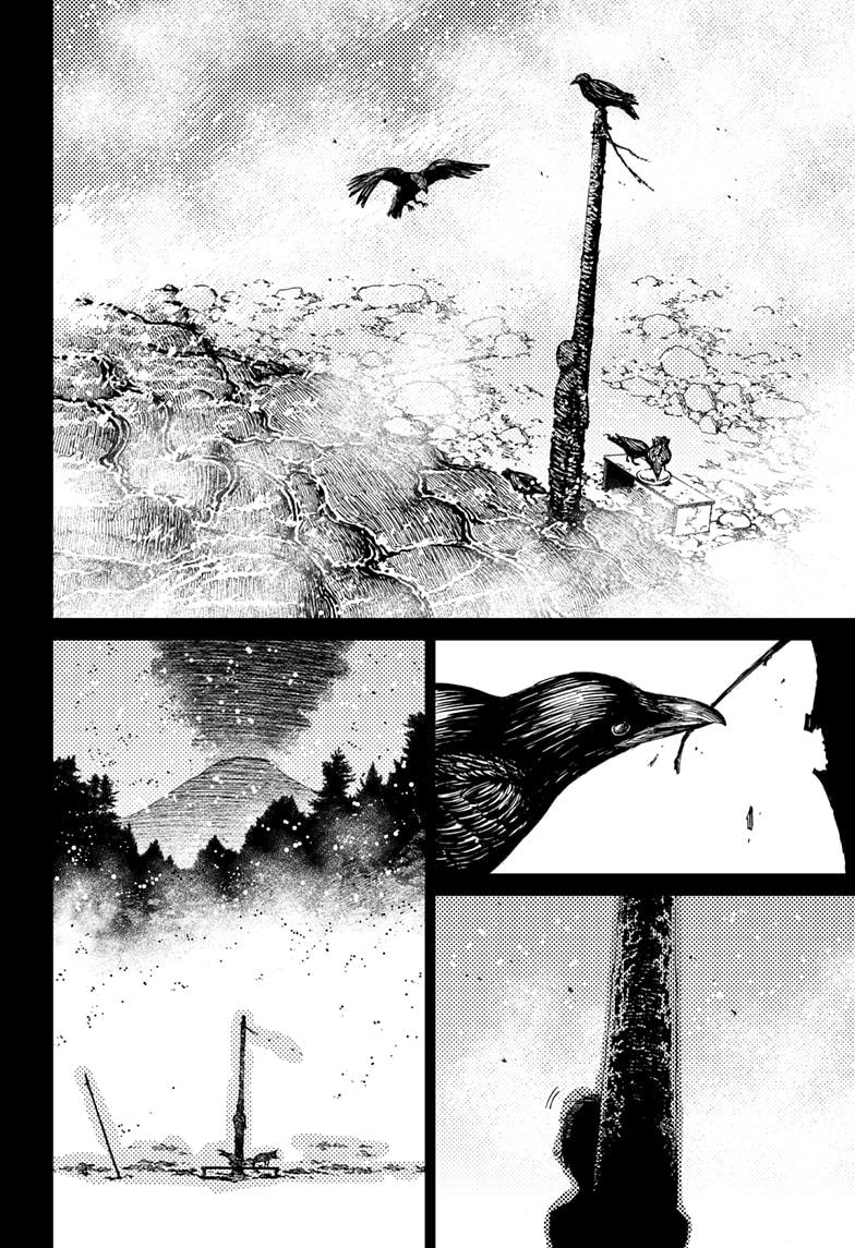 449807images:12