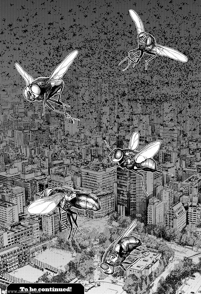 470675images:25