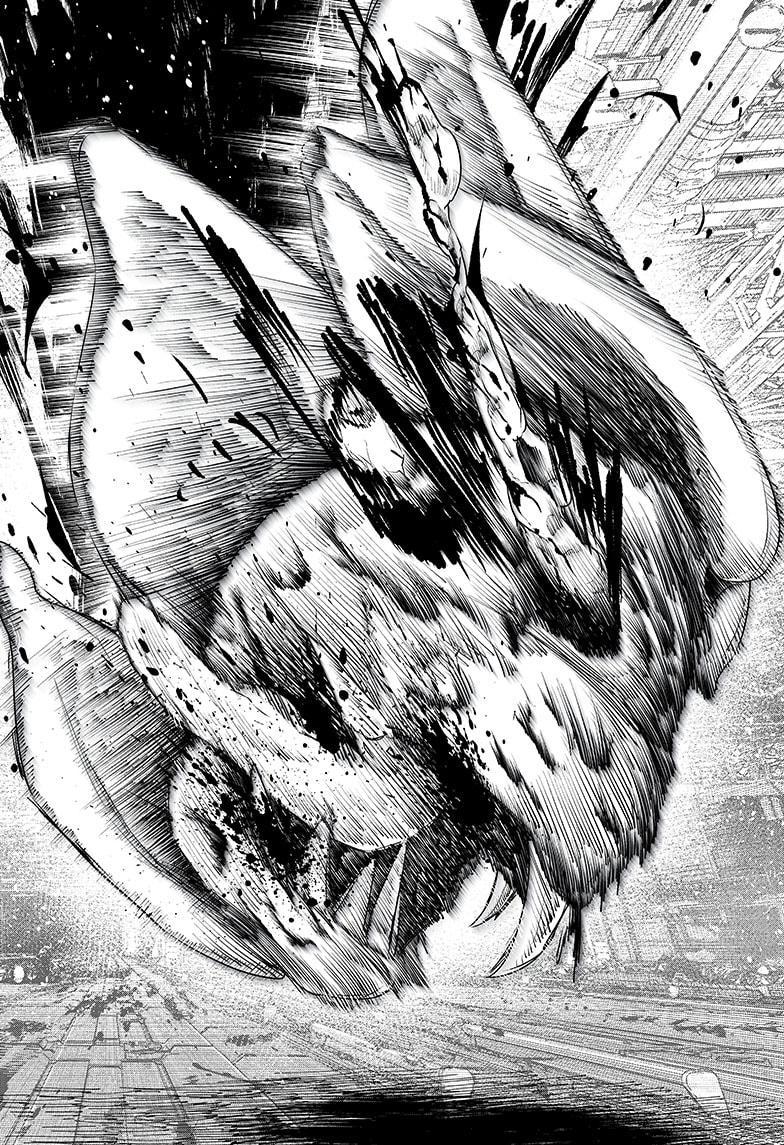466096images:24