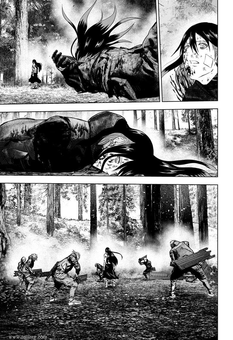 473602images:3