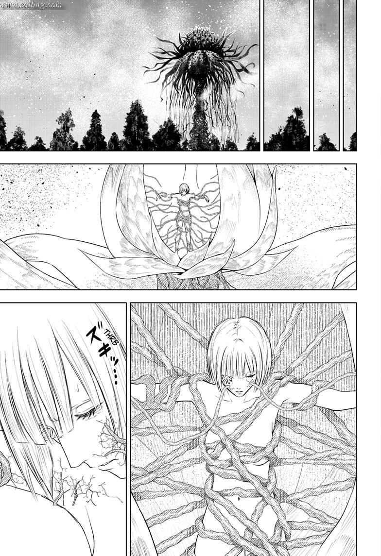 473602images:9