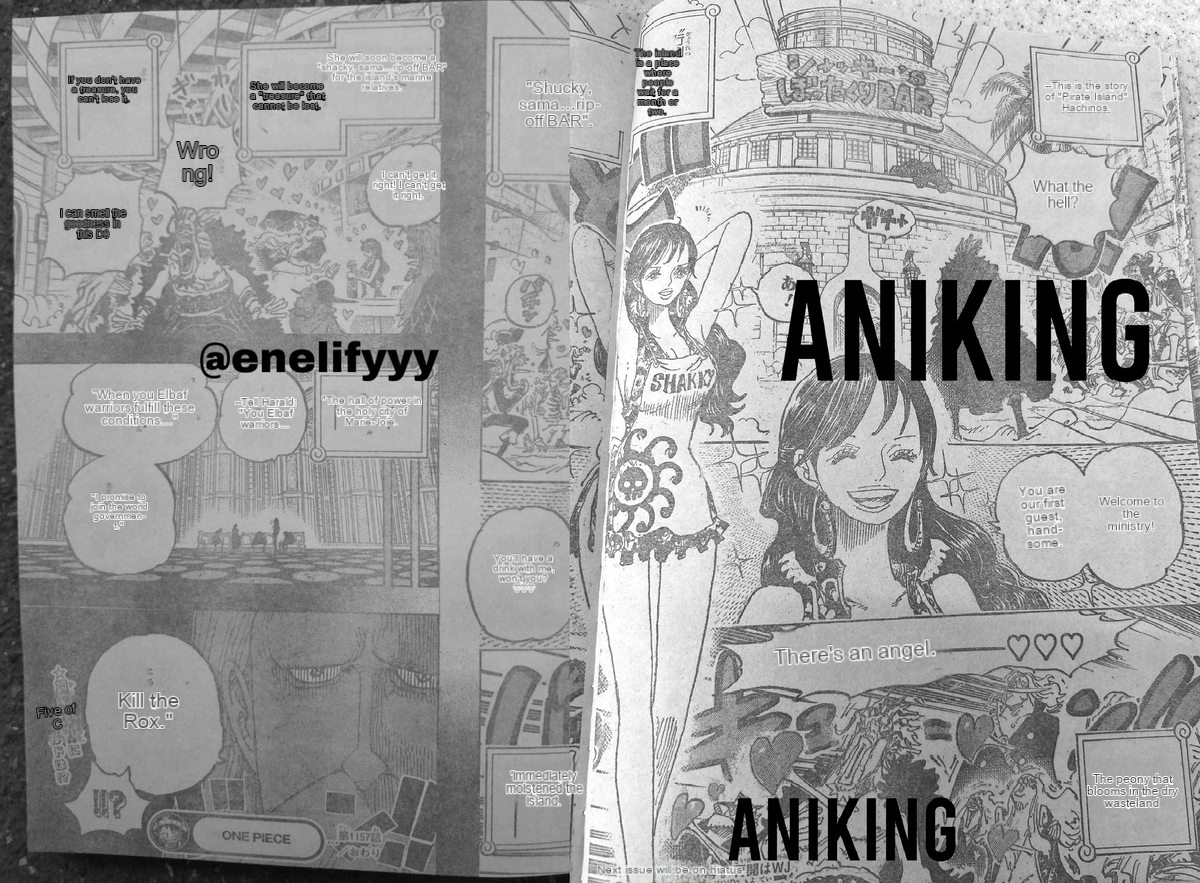 475329images:10