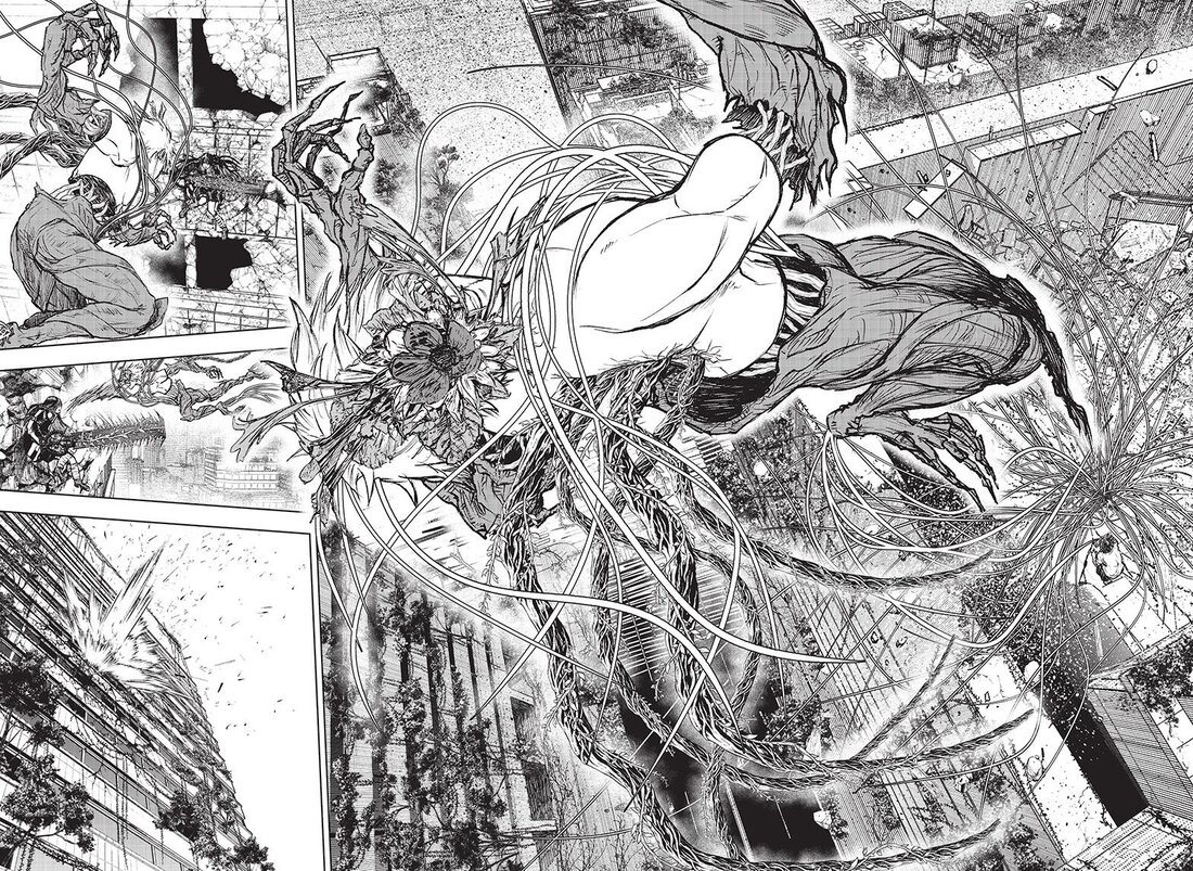 466077images:5