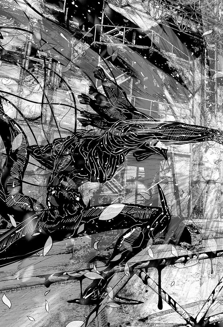 466671images:11