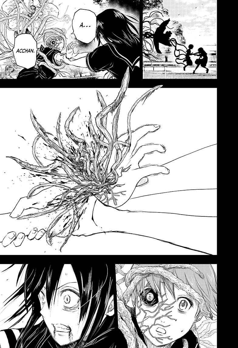 466082images:5