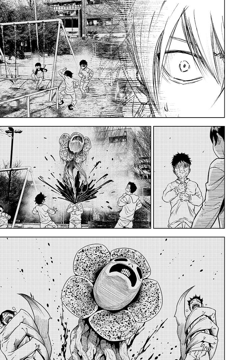 466090images:23