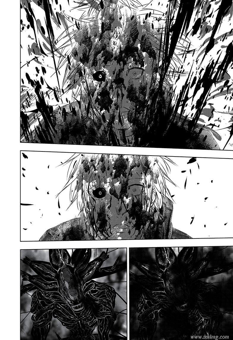466373images:24