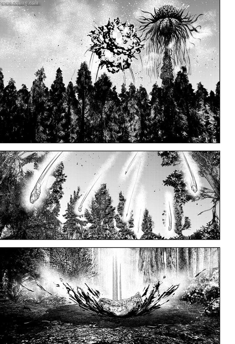 472733images:19