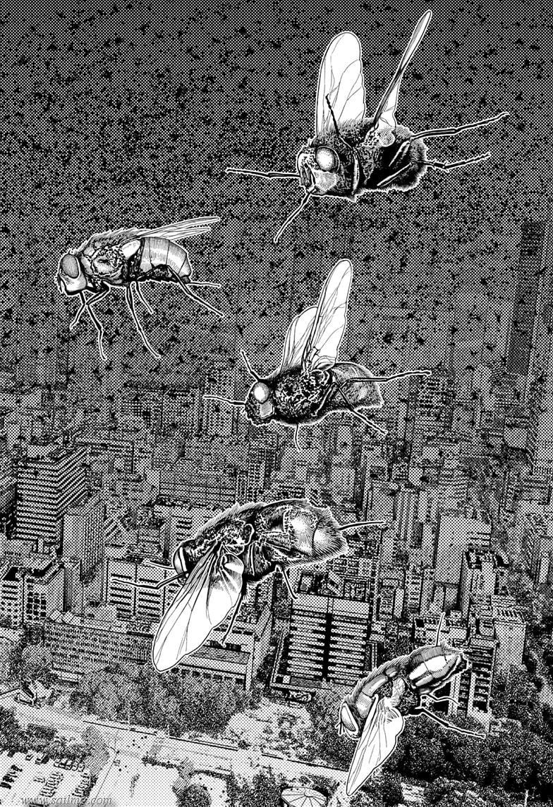470675images:24
