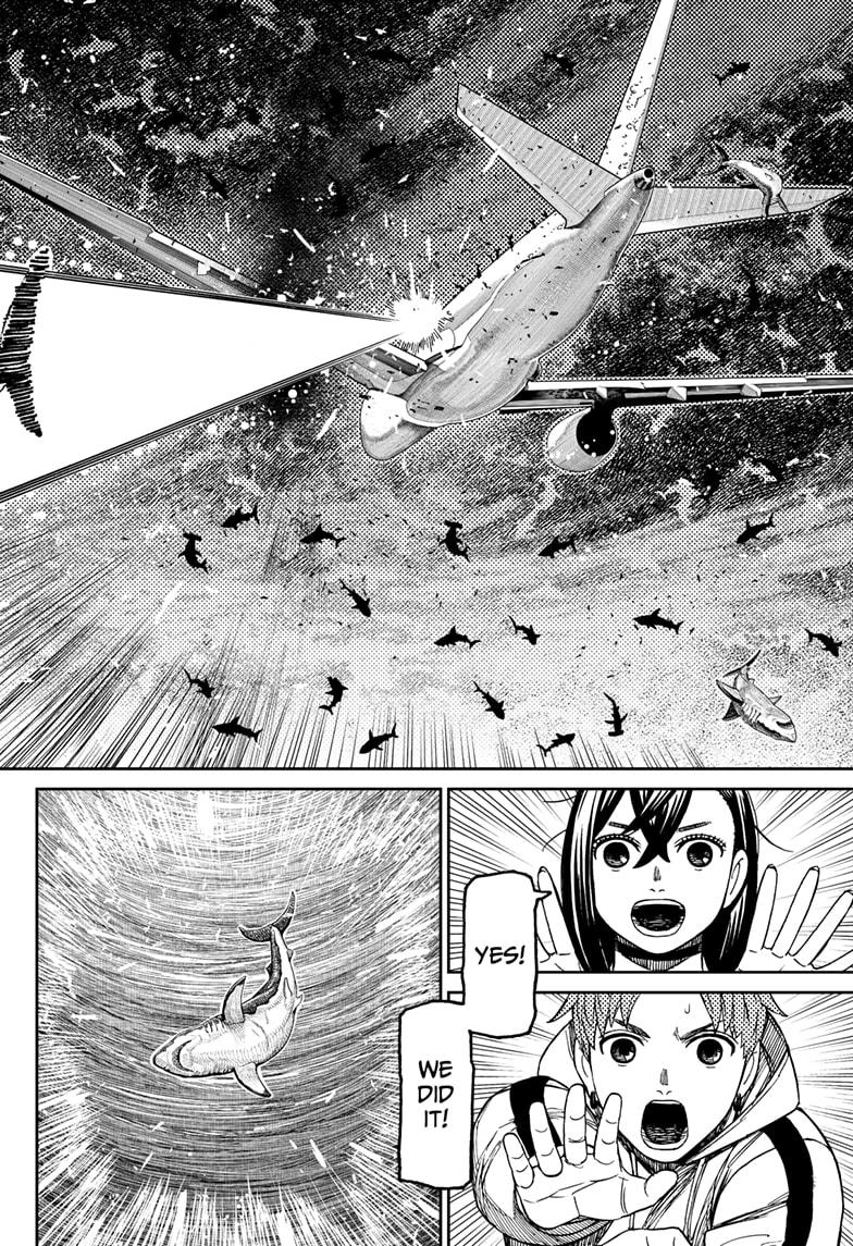 473286images:8