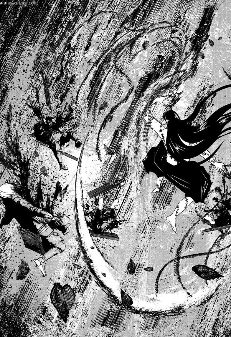 473602images:5