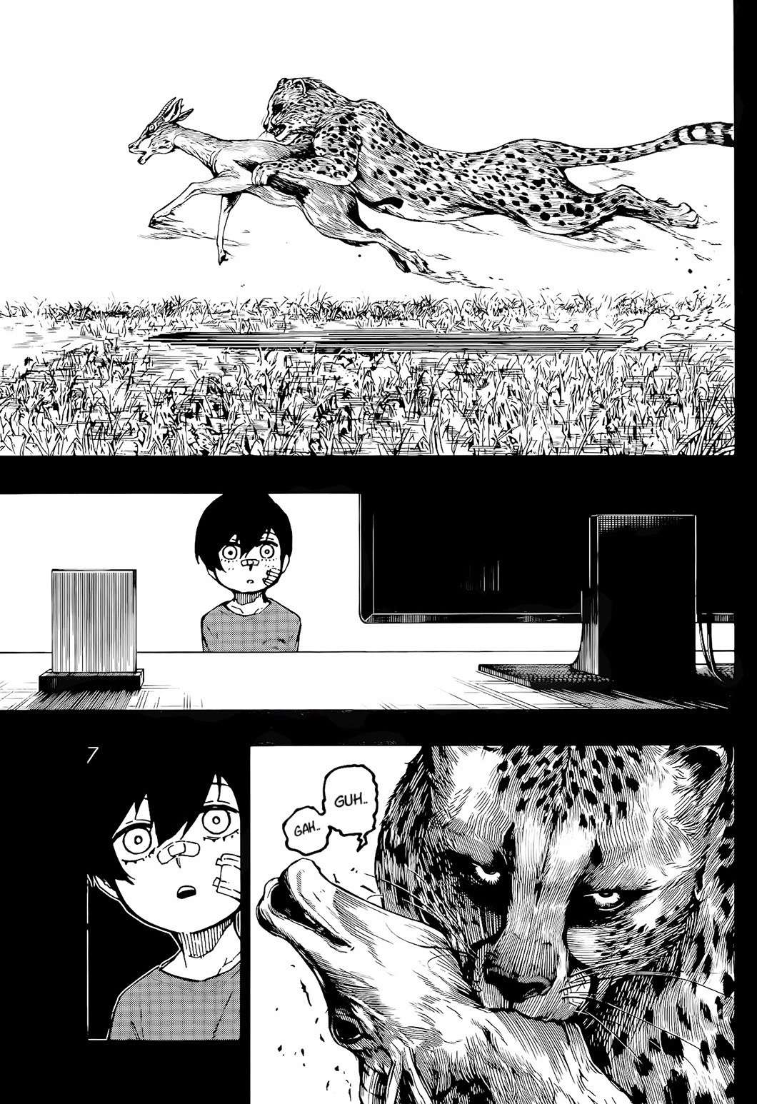 465109images:9