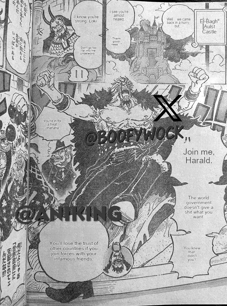 474605images:11