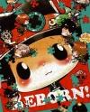 Katekyo Hitman Reborn! Katekyo Hitman Reborn!